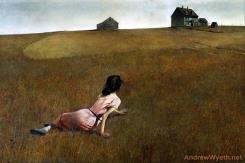 Christina's World by Andrew Wyeth