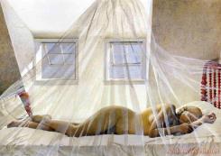 Day Dream by Andrew Wyeth