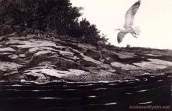 Ledge on Huppers Island by Andrew Wyeth