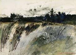 Waldboro Woods by Andrew Wyeth